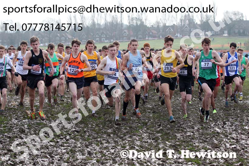 Start of the under-20 mens Inter Counties Cross Country, Cofton Park, Birmingham. Photo: David T. Hewitson/Sports for All Pics